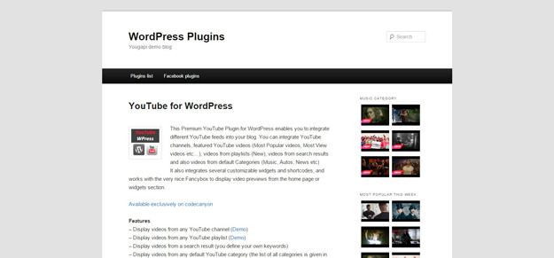 youtube for wordpress