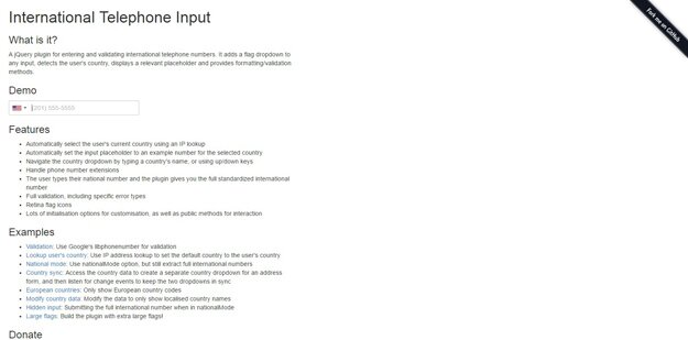 International Telephone Input