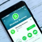 whats app business account